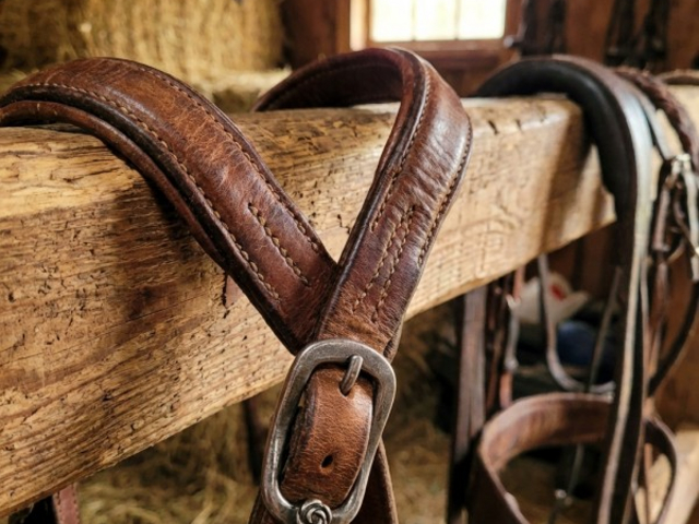 Klub Jeździecki Kłodzka Róża