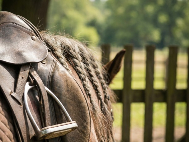 Rancho Grandessa – Arkadia Izerska