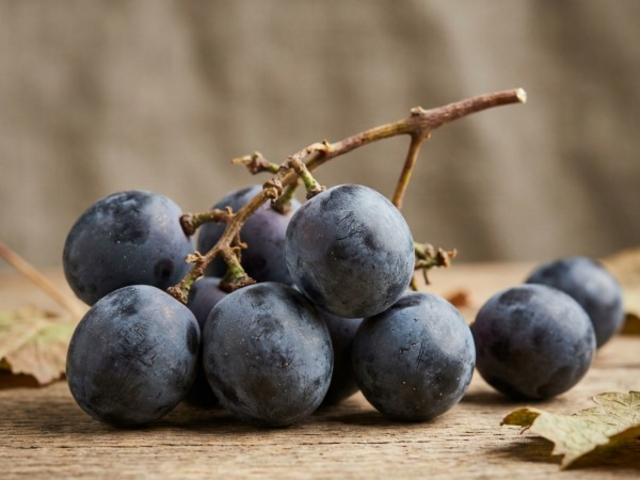 Winnica Niewinne Pole