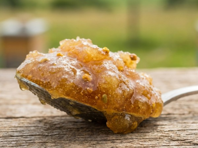 Pasieka Garwół