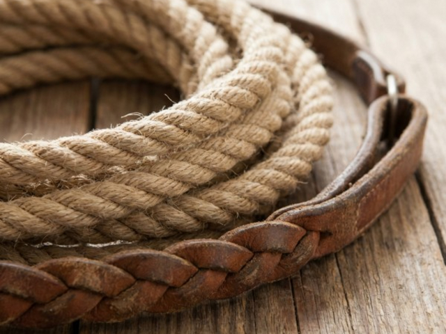 Wyspa Koni – Warsztaty i Horse Academy