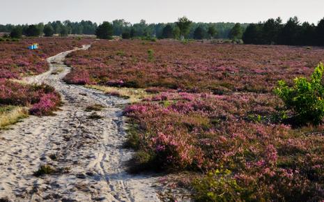 Przemkowski Park Krajobrazowy doskonałe miejsce na weekend.