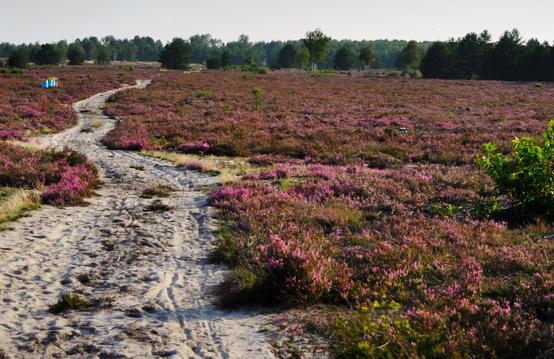 Przemkowski Park Krajobrazowy doskonałe miejsce na weekend.